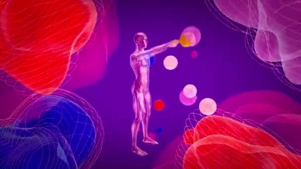 ケトルベルでカールをするX線男の解剖学の3Dイラスト — ストック動画