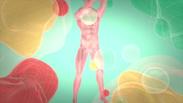 Illustration Einer Anatomie Eines Röntgenmannes Der Bizeps Locken Mit Wasserstoffhandschuhen — Stockvideo