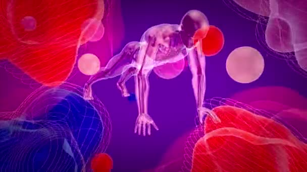 Изображение Анатомического Человека Делающего Отжимания — стоковое видео