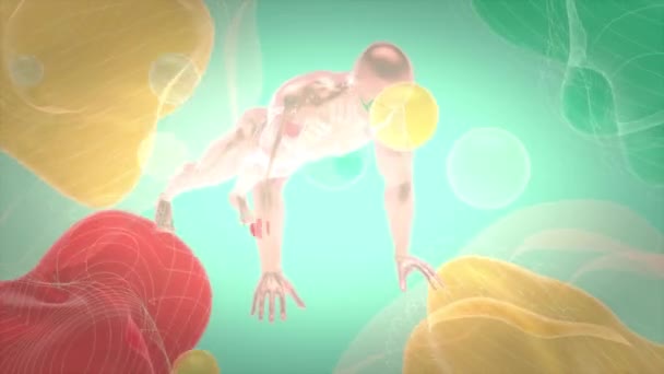 Ілюстрація Анатомії Людини Яка Робить Стрибки — стокове відео