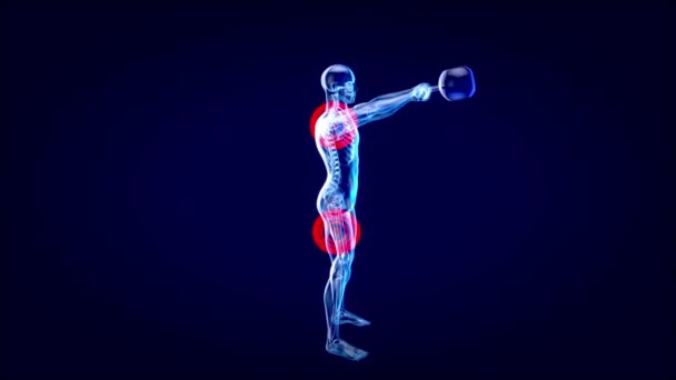 Illustration Une Anatomie Homme Rayons Faisant Biceps Curls Avec Kettlebell — Video