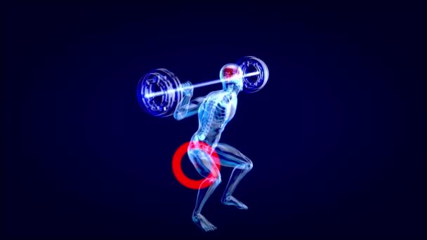 バレルでスクワットを行うX線男の解剖学の3Dイラスト — ストック動画