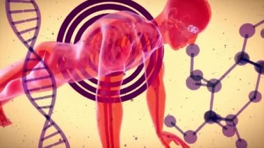 Bir röntgen adamının 3 boyutlu animasyonu. Egzersiz yapıyor, yapıyor. 