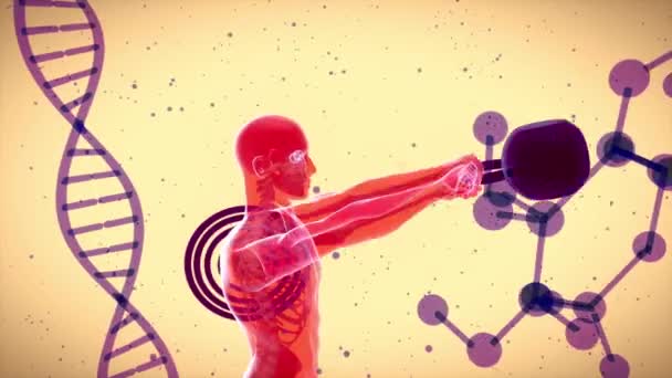 X射线人与水壶钟运动解剖的3D动画 — 图库视频影像