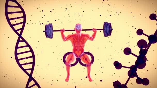 X射线人做蹲动作解剖的3D动画 — 图库视频影像
