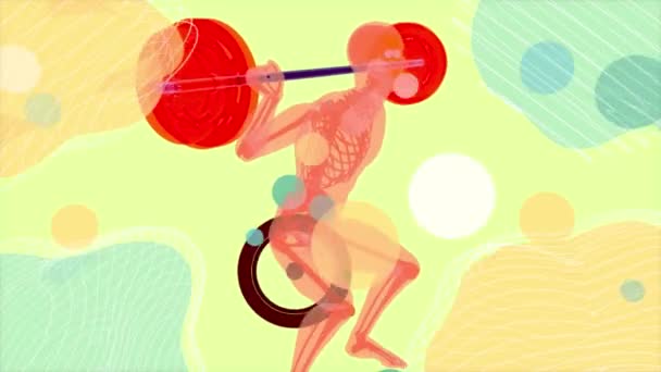 Anatomie Ray Muže Cvičení Ilustrace — Stock video