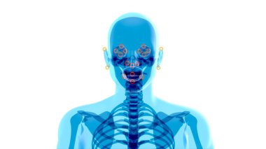 Beyin ve yüz tanıma sanatının soyut röntgen sanatı