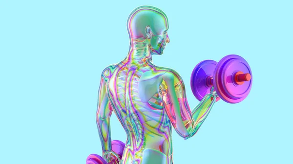 Illustration Anatomy Ray Man Doing Biceps Curls — Stock Photo, Image