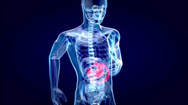 Midenin 3B konsept tasarımı