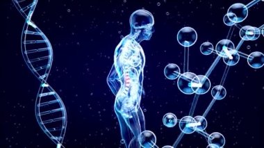 Reinilerin 3B konsept tasarımı 