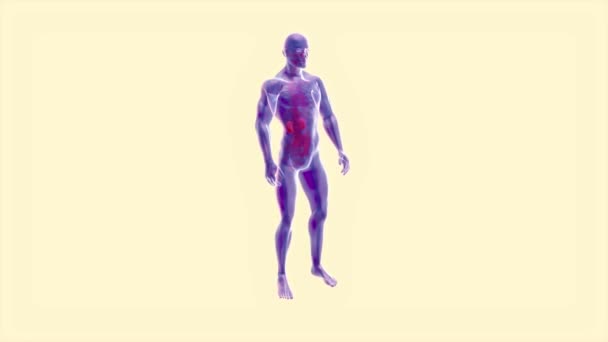 Diseño Concepto Del Cuerpo Humano Dolor Espalda — Vídeo de stock