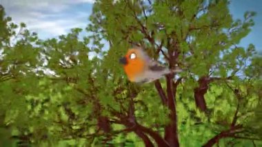 Yaz ormanlarında uçan güzel kuş, animasyon 