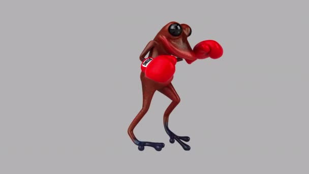 Kırmızı Kurbağa Boksu Boyutlu Animasyon — Stok video
