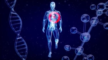 Kalp krizinin 3 boyutlu soyut animasyonu