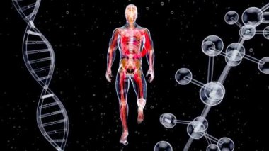 dirsek ağrısı - 3 boyutlu animasyon 