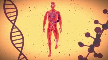 Kalp krizinin 3 boyutlu soyut animasyonu