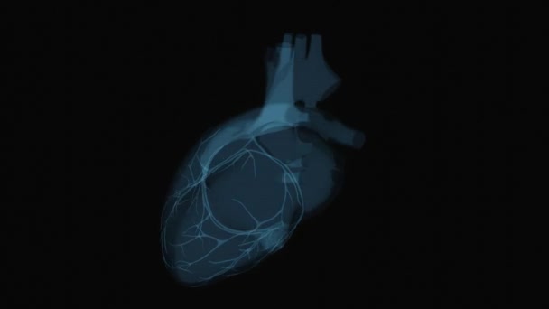 Animation Abstraite Une Radiographie Cardiaque — Video