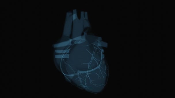 Abstract Animation Heart Xray — Stock Video