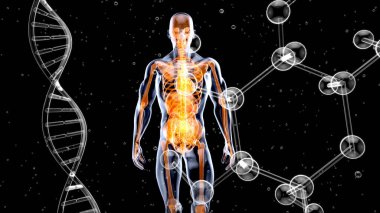 Sırt ağrısı ve böbreklerin soyut tasarımı