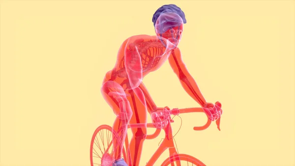 Contexte Abstrait Design Cycliste Illustration — Photo