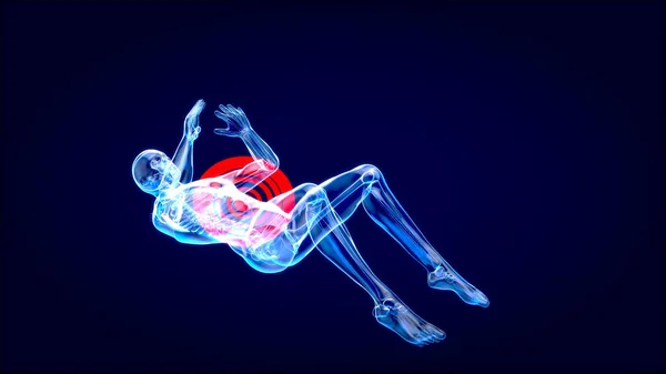 Anatomi Dari Seorang Pria Melakukan Situps — Stok Foto