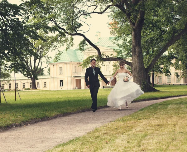 Wedding day — Stock Photo, Image