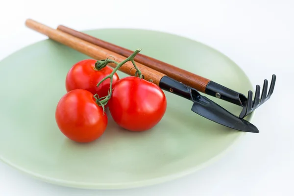 Three tomatoes lie on a plate — Stock Photo, Image