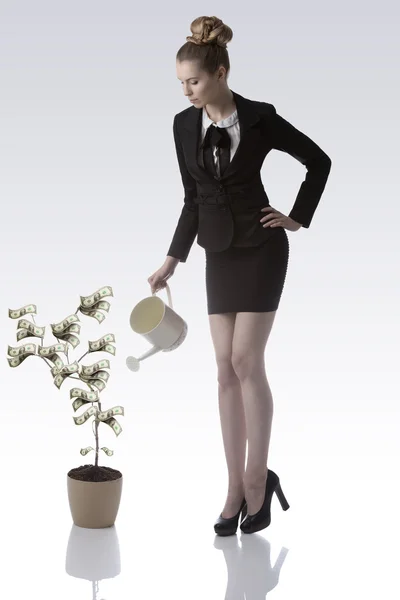 Beautiful business woman with watering can near dollars plant — Stock Photo, Image