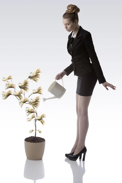 Carino affari donna annaffiamento euro soldi pianta — Foto Stock