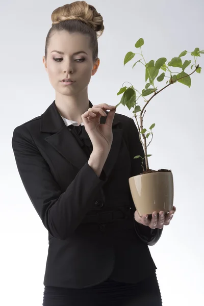 Pretty career girl with money plant — Stock Photo, Image
