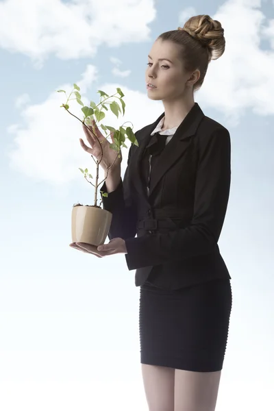 Γυναίκα των επιχειρήσεων με πράσινο φυτό χρήματα — Φωτογραφία Αρχείου