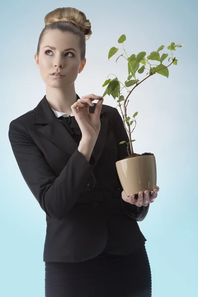 Udanej kariery dziewczyna z pieniędzy roślin — Zdjęcie stockowe