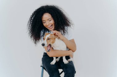 Joyful African American woman plays with pedigree dog, dressed in casual wear, petting favourite pet, isolated over white background, sits on chair. Positive human expressions. Friendship concept