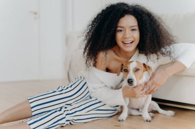 Mutlu kıvırcık bir kadının komik küçük bir köpekle oynaması, ferah bir odada poz vermesi, kanepenin yanında durması, geniş bir gülümseme, sevgiyle evcil hayvanı kucaklaması, şık kıyafetler giymesi, hayvanlarla eğlenmesi.