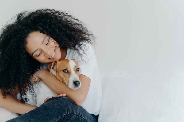 Photo Attractive Woman Curly Afro Hairstyle Cuddles Pets Dog Smile — Stock fotografie