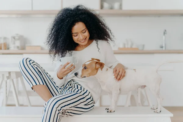 素敵なアフリカ系アメリカ人の女性は コーヒーブレイクを持っているペッティング血統の犬は キッチンの背景に対して快適な白いベンチに座って 幸福と笑顔 動物の概念 — ストック写真