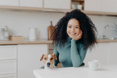 People, animals, friendship concept. Cheerful curly woman sits in kitchen , drinks hot bevereage, her loyal domestic pet poses near enjoy spending time together. Afro girl with dog in modern apartment