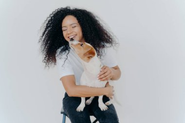 Kıvırcık saçlı, gülümseyen, en sevdiği köpekten öpülen, beyaz duvara karşı sandalyeye oturan, tişört ve kot giyen Afro-Amerikan bir kadın. İnsanlar, hayvanlar, duygular ve aşk kavramı
