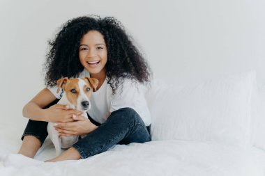 İnsanlar, evcil hayvan bakımı ve arkadaşlık kavramı. Gülümseyen Afro kadın mutlu bir ifadeyle soylu köpeğe sarılır, rahat bir yatağa oturur, beyaz arka plandaki alanı kopyalar, uyur ya da dinlenir.