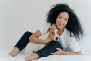 Afro kadının yatakta köpekle dinlendiği, neşeli bir havası olduğu, beyaz arka plana karşı yatak odasında birlikte poz verdiği yatay bir sahne. Kız evde Jack Russell Terrier ile rahatlıyor. Tatlı komik an