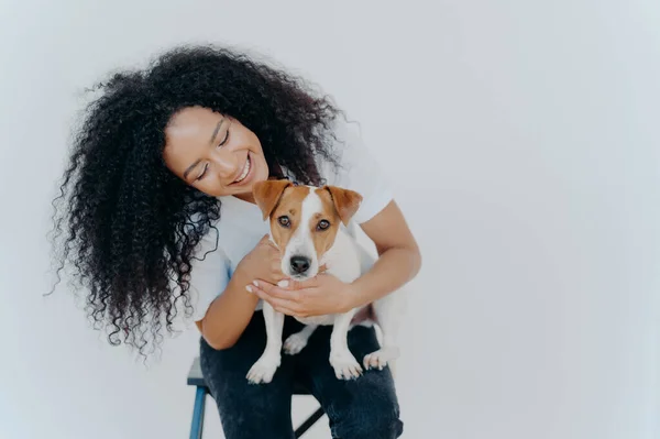 Glad Mörkhyade Flicka Leker Med Jack Russell Terrier Hund Kul — Stockfoto