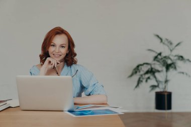 Neşeli seksi kadın girişimci iş ortaklarıyla internette sohbet ediyor, başlangıç projesinde çalışıyor, iş yerinde poz veriyor, etrafını kağıt belgeler, beyaz duvar ve arka planda saksı çiçekleri ile çevrili.