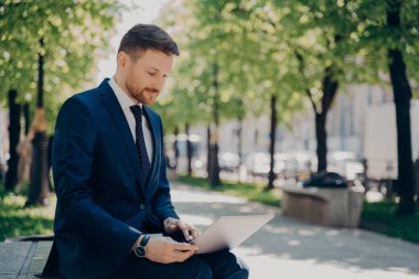 Mavi takım elbiseli genç işadamı dizüstü bilgisayarında veri ve bilgi tarıyor, internette sörf yapıyor, proje üzerinde çalışırken, yaz günü yeşil ağaçlarla birlikte şehir parkında bankta oturuyor.