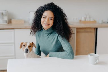 Beautiful curly haired woman dressed in casual turtleneck, sits at white table in kitchen, drinks tea from cup, plays with jack russell terrier dog, enjoys spare time. Afro lady with favourite pet