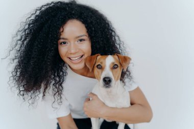 Güzel, kıvırcık saçlı, güzel Afro kadının yakın plan çekimi. En sevdiği köpeği kucaklıyor ve evde birlikte eğleniyor. Beyaz arka planda izole edilmiş Jack Russell Terrier köpeğine sevgilerini iletiyor.