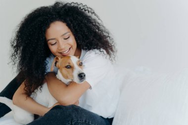 Happy African American woman expresses love to dog, embraces pet, dressed in casual wear, sit on comfortable bed in bedroom, sleeps with domestic animal. Jack russell terrier with owner in morning