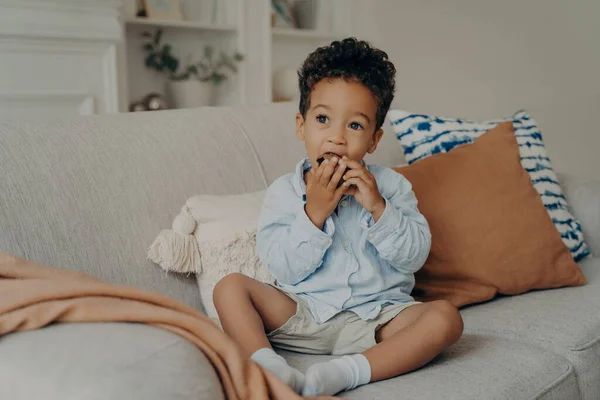 Голодний Милий Афроамериканський Хлопчик Малюк Їсть Смачний Шоколадний Кекс Який — стокове фото
