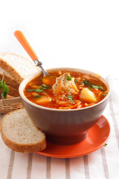 Borsch tradizionale ucraino — Foto Stock