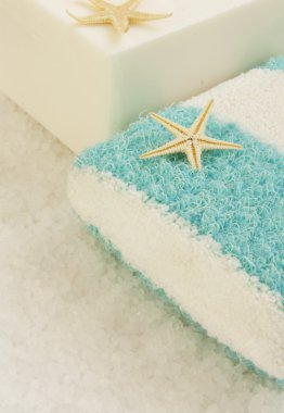 sabun ve deniz tuzu üzerine sünger