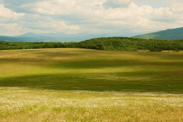 Landscape with mountains and meadow